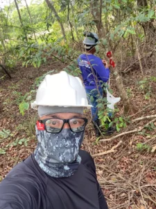 Inventário Florestal